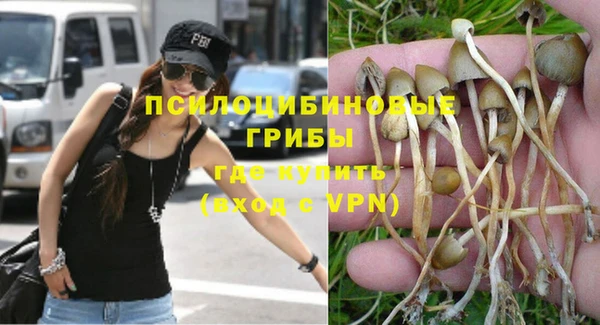 молекула духа Волосово
