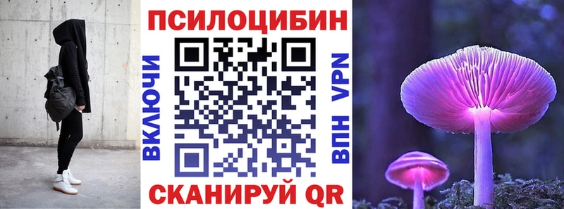 Купить где  Лесосибирск  Галлюциногенные грибы мицелий 
